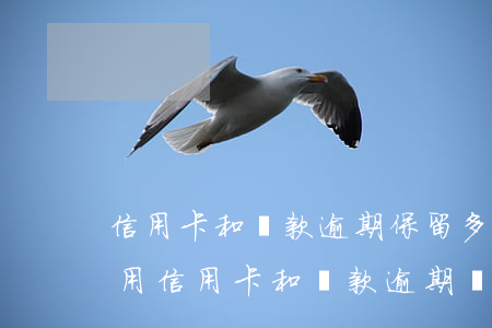 信用卡和貸款逾期保留多長時間，了解你的信用：信用卡和貸款逾期記錄保留期限