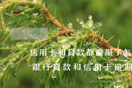 信用卡和貸款都逾期了怎么協(xié)商(銀行貸款和信用卡逾期了怎么辦)
