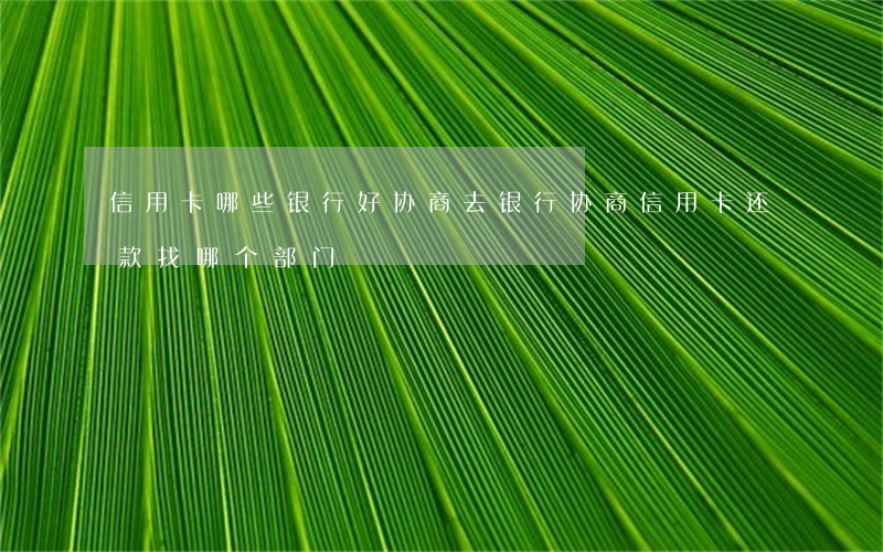 信用卡哪些银行好协商(去银行协商信用卡还款找哪个部门)