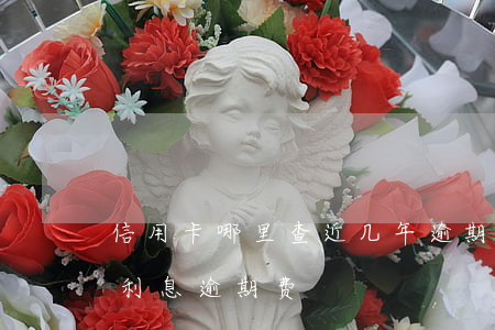 信用卡哪里查近几年逾期利息(如何查信用卡利息逾期费)