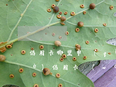 信用卡哪里申請(qǐng)最快(哪個(gè)信用卡網(wǎng)上好申請(qǐng) 秒過(guò))