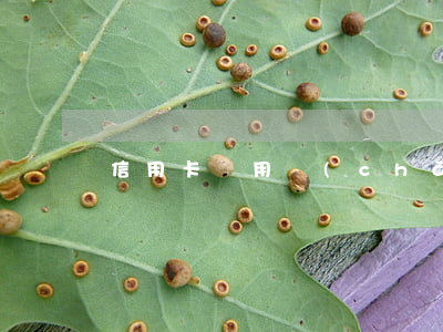 信用卡啟用產(chǎn)生透支利息