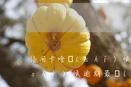 信用卡啥時(shí)候逾期(信用卡啥時(shí)候逾期最嚴(yán)重)