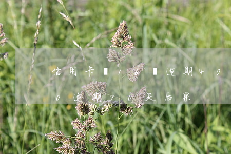 信用卡喬16塊逾期400天(信用卡3500逾期90天后果)
