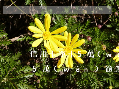 信用卡單卡5萬(wàn)逾期(信用卡單卡5萬(wàn)逾期)