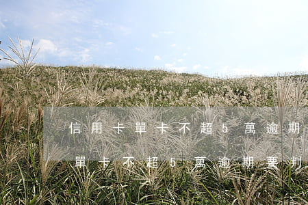 信用卡單卡不超5萬逾期要判刑嗎-信用卡單卡不超5萬逾期要判刑嗎知乎