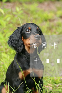 信用卡單卡欠69萬逾期了(7張信用卡欠款十幾萬全部逾期了怎么辦)