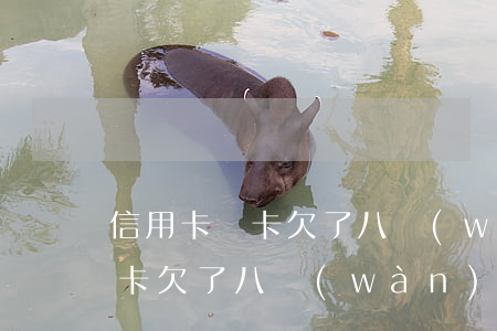 信用卡單卡欠了八萬(wàn)多(信用卡單卡欠了八萬(wàn)多會(huì)起訴嗎)