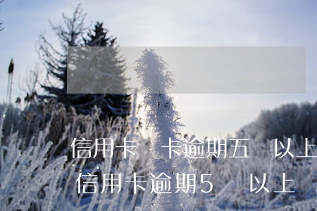 信用卡單卡逾期五萬以上的人多嗎-是所有信用卡逾期5萬以上還是單獨