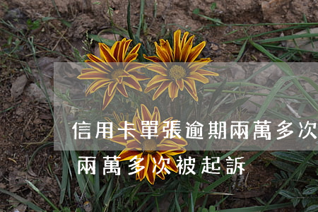 信用卡單張逾期兩萬多次-信用卡單張逾期兩萬多次被起訴
