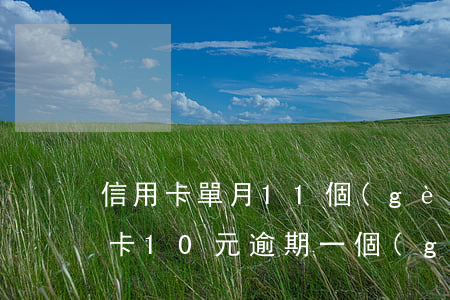 信用卡單月11個(gè)月份逾期-信用卡10元逾期一個(gè)月