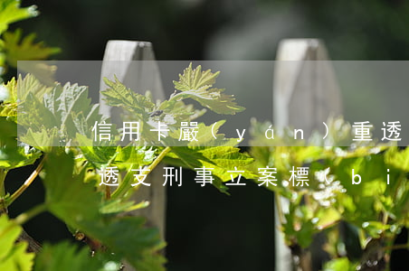 信用卡嚴(yán)重透支刑事犯罪(信用卡透支刑事立案標(biāo)準(zhǔn))