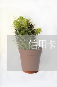 信用卡嚴(yán)重逾期1次后馬上還款
