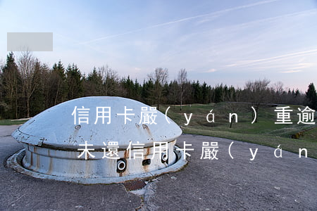 信用卡嚴(yán)重逾期3個(gè)月未還（信用卡嚴(yán)重逾期3個(gè)月）