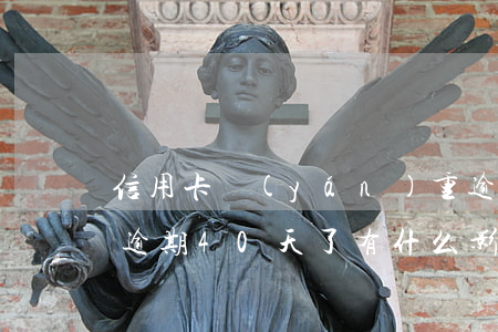 信用卡嚴(yán)重逾期40萬(我信用卡逾期40天了有什么影響)