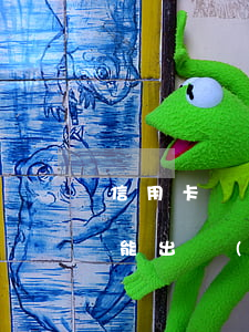 信用卡嚴(yán)重逾期8個(gè)月能出國(guó)嗎(有信用卡逾期的人,可以出國(guó)嗎)
