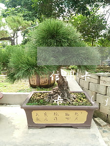 信用卡嚴(yán)重逾期三天(三年前信用卡嚴(yán)重逾期)