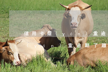 信用卡嚴(yán)重逾期了離婚(信用卡嚴(yán)重逾期了離婚怎么處理)