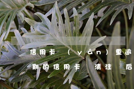 信用卡嚴(yán)重逾期全部還清銷卡(逾期的信用卡還清注銷后不良記錄會(huì)消除嗎)