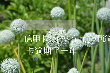 信用卡嚴(yán)重逾期兩年(好幾張信用卡逾期了一年)