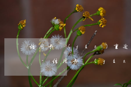 信用卡嚴(yán)重逾期公安局可以立案嗎-信用卡嚴(yán)重逾期公安局可以立案嗎知乎