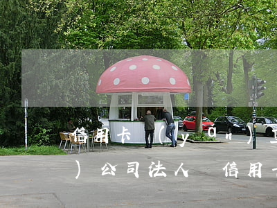 信用卡嚴(yán)重逾期可以注冊(cè)公司 法人辦信用卡逾期對(duì)公司有影響嗎