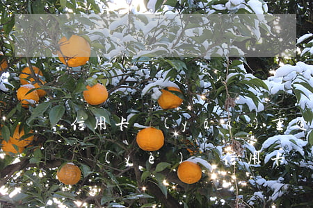 信用卡嚴(yán)重逾期可以辦簽證嗎興業(yè)-信用卡嚴(yán)重逾期可以辦簽證嗎興業(yè)銀行