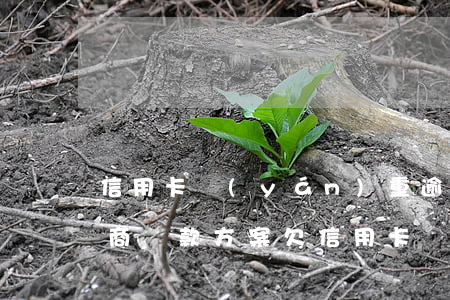 信用卡嚴(yán)重逾期后協(xié)商還款方案(欠信用卡協(xié)商還款技巧)