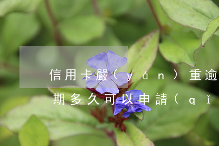信用卡嚴(yán)重逾期后多久能用(有逾期多久可以申請(qǐng)信用卡)