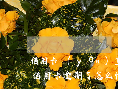 信用卡嚴(yán)重逾期后怎么辦(不小心信用卡逾期了怎么恢復(fù))