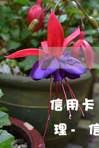 信用卡嚴(yán)重逾期后還清卡怎么處理-信用卡嚴(yán)重逾期后還清卡怎么處理呢