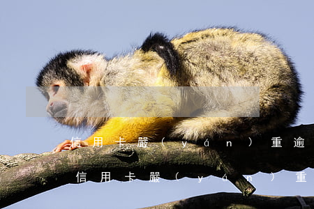 信用卡嚴(yán)重逾期后還清該怎么辦 信用卡嚴(yán)重逾期后還清該怎么辦理