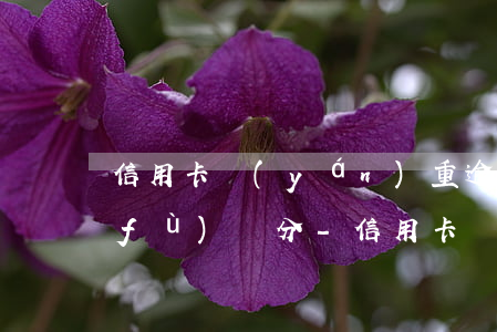 信用卡嚴(yán)重逾期多久可以恢復(fù)評分-信用卡嚴(yán)重逾期多久可以恢復(fù)評分征信