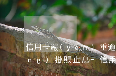 信用卡嚴(yán)重逾期如何申請(qǐng)掛賬止息-信用卡嚴(yán)重逾期如何申請(qǐng)掛賬止息呢