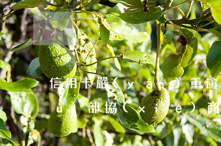 信用卡嚴(yán)重逾期如何跟法務(wù)部協(xié)商-信用卡嚴(yán)重逾期如何跟法務(wù)部協(xié)商還款