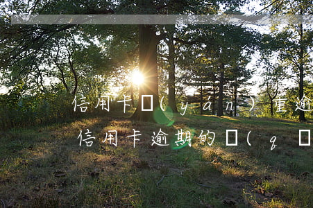 信用卡嚴(yán)重逾期定義(貸款逾期與信用卡逾期的區(qū)別)