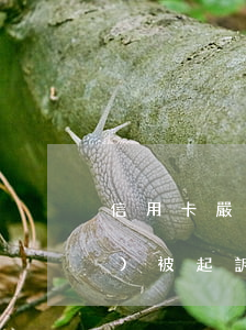 信用卡嚴(yán)重逾期已凍結(jié)被起訴-因為銀行卡凍結(jié)導(dǎo)致信用卡逾期
