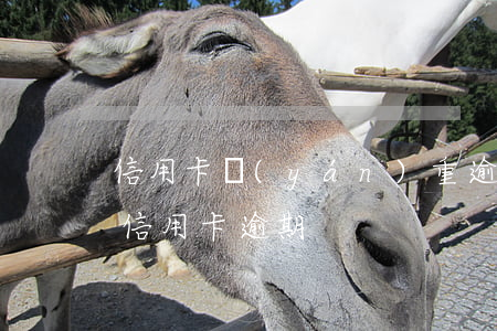 信用卡嚴(yán)重逾期怎么查(怎么查看信用卡逾期)