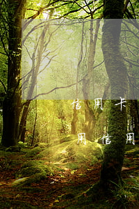 信用卡嚴(yán)重逾期怎么申請減免費用(信用卡嚴(yán)重逾期怎么申請減免費用)