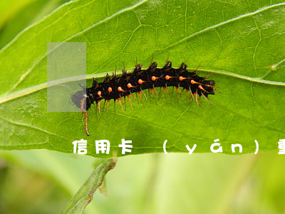 信用卡嚴(yán)重逾期怎么辦理分期