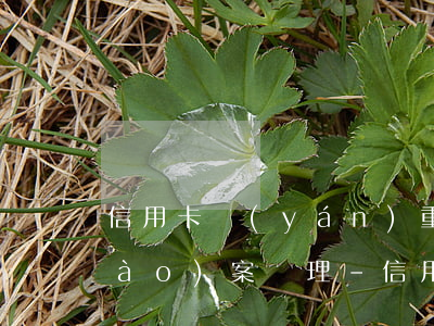 信用卡嚴(yán)重逾期我行擬做報(bào)案處理-信用卡嚴(yán)重逾期我行擬做報(bào)案處理嗎