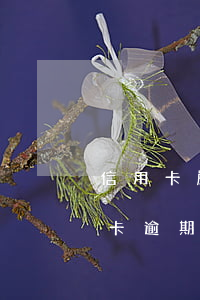 信用卡嚴(yán)重逾期指的是什么(信用卡逾期是啥意思)