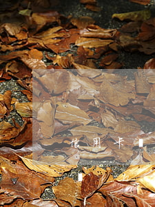 信用卡嚴(yán)重逾期換手機(jī)號(hào)碼(手機(jī)號(hào)之前的人信用卡逾期對(duì)我有影響嗎)
