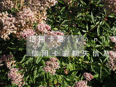 信用卡嚴(yán)重逾期是否定為詐騙(以信用卡逾期失信為由詐騙)
