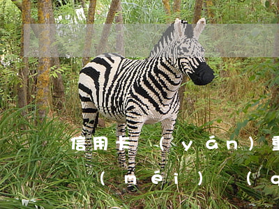 信用卡嚴(yán)重逾期暫時(shí)沒(méi)錢(qián)還怎么處理