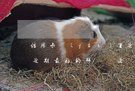 信用卡嚴(yán)重逾期最佳處理(信用卡逾期最好的解決辦法)