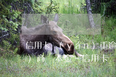 信用卡嚴(yán)重逾期最后協(xié)商還本金-信用卡嚴(yán)重逾期最后協(xié)商還本金怎么辦