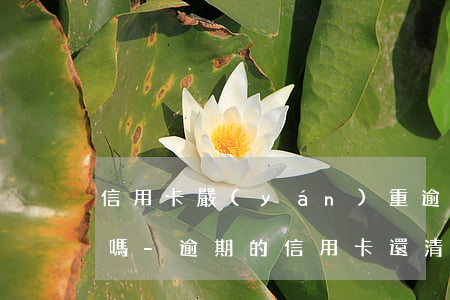 信用卡嚴(yán)重逾期清還之后還能用嗎-逾期的信用卡還清后還能用嗎