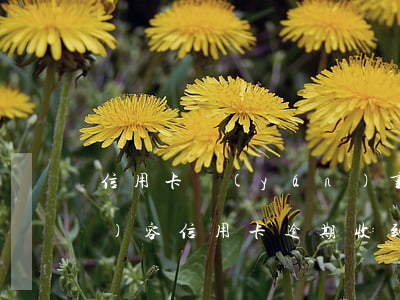 信用卡嚴(yán)重逾期短信內(nèi)容(信用卡逾期收到的短信內(nèi)容)