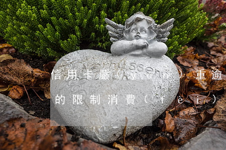 信用卡嚴(yán)重逾期短信發(fā)的限制消費(fèi)那些是真的嗎（信用卡嚴(yán)重逾期短信）